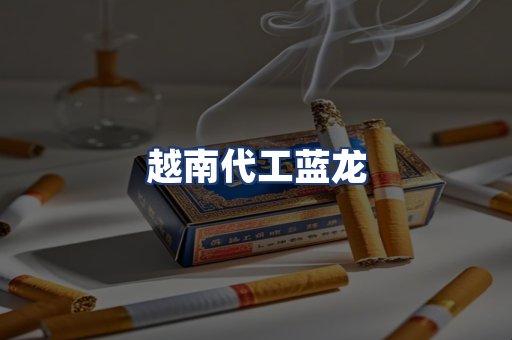 越南代工蓝龙